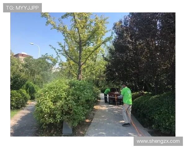 西安赛事方加班用灯光照射草坪并利用大功率风扇祛湿保障比赛顺利进行 西安赛事方加班用灯光照射草坪并利用大功率风扇祛湿保障比赛顺利进行